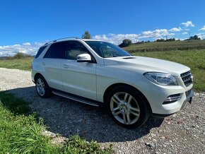 Mercedes ML 350 Bluetec - 5