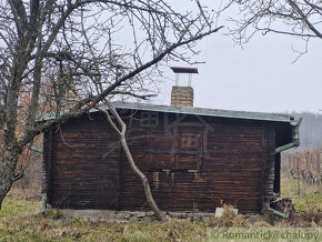 Pekná, udržiavaná vinica s chatkou za Kozárovcami - 5