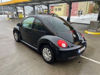 New Beetle - 5