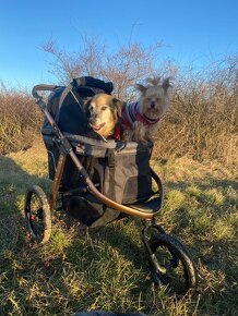 Kočík pre psa do 23Kg PetBuggy - 5