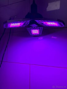 Led grow/bloom, rast/kvet 200w svetla - 5