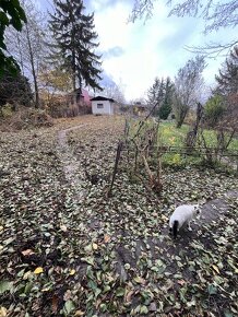 VÝRÁZNÁ ZĽAVA Záhrada s chatou v Rači na Peknej ceste 343 m2 - 5