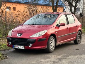 Peugeot 307 - 5