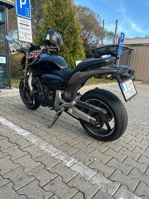 Honda cb600f Hornet TP25kw - 5