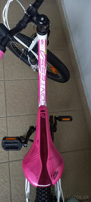 SCOTT CONTESSA 20 - 5