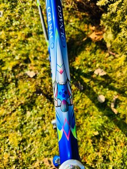 Colnago Master Bititan Art Decor - 5