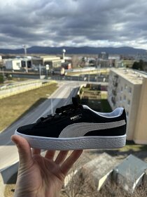 Puma - 5