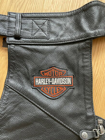 Harley Davidson - kožené chapsy - 5