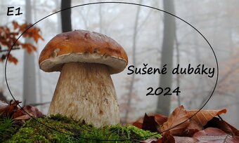 Sušené hríby/ dubáky - 5