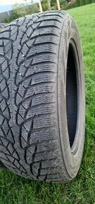 Nokian Nokian WR D4 215/55 R17 98H XL 
 - 5