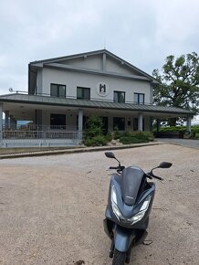 HONDA PCX 125 - 5