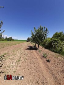 Na predaj záhrada s vin.domom,Levice, rovina - 5