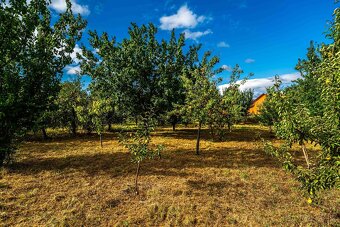 Na predaj stavebný pozemok 2745m2  s ovocným sadom, Málaš - 5