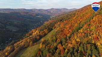 Les v katastrálnom území Vydrná  38460m2 - 5