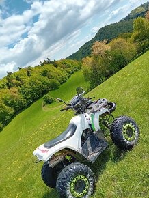 Atv 125ccm - 5