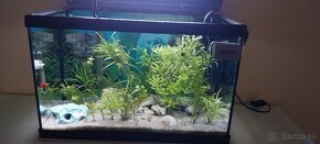 Akvarium aquatlantis - 5