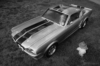 Ford Mustang Fastback „Eleanor“ - 5