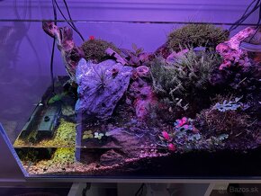 Paludarium - Vivárium -Terarium -Akavarium - 5