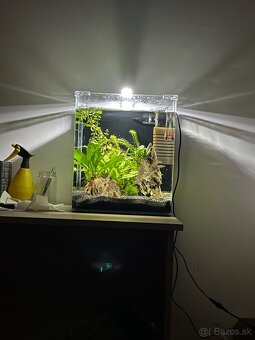 Dennerle nano cube 30l + chihiros C201 7W - 5