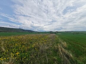 41186- Predaj pozemku v časti Kostolná okres Detva - 5