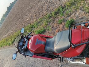 HONDA CBR 1100 XX - 5