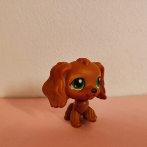 Lps littlest pet shop petshop original kokeršpaniel #252 252 - 5