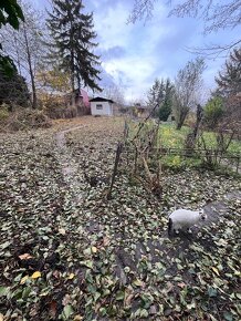 Záhrada s chatou v Rači na Peknej ceste 343 m2 - 5