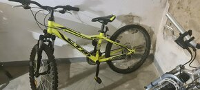 Decky bicykel CTM berry 1.0 - 5