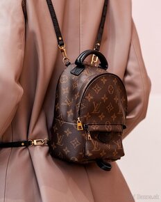 Louis Vuitton Backpack Palm Spring Mini monogram - 5