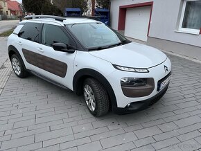 C4 Cactus - 5