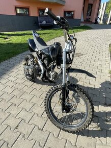 Predam Pitbike 125ccm - 5