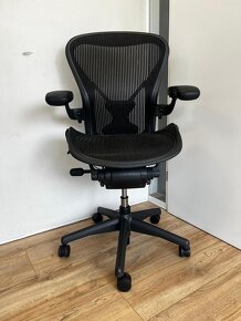 Herman Miller Aeron Full Option -  Posture Fit - 5