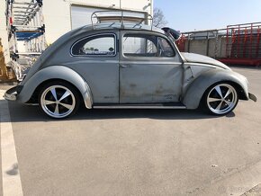 Volkswagen CHROBAK OVAL 1954 - 5