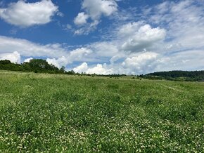 REZERVOVANÉ - Pozemky pod Vyšnokubínskymi skalkami na predaj - 5