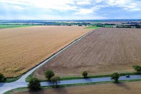 Orná pôda na predaj v obci Zvončín pri Trnave - 5