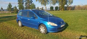 Peugeot 307 combi benzin - 5