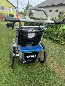 Thule Chariot CX1 - 5