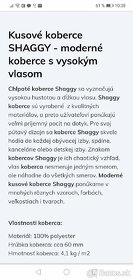 Koberec SHAGGY vysoký vlas 230x160 - 5