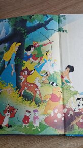 Walt Disney: Popoluška 1991 - 5