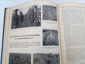 časopis vinárstvo /český/ viazané ročníky 1960-62 - 5