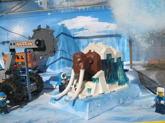 LEGO CITY ARCTIC vitrina - 5