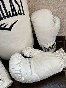 Vrece a rukavice na box EVERLAST - 5