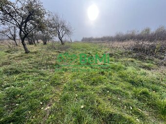 Predaj vinice-záhrady/ZNÍŽENÁ CENA/Levice časť Kalinčiakovo( - 5