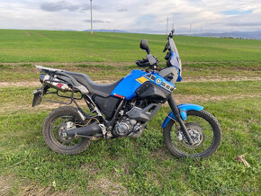 Yamaha XT660Z Tenere - 5