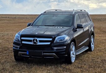 Mercedes GL350 190kw x166 - 5