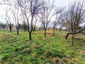 NA PREDAJ ROD.DOM, POZEMOK 2.000m2, TURÁ LÚKA, okres MYJAVA - 5