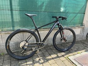 Workswell 29er Carbon HT - 5