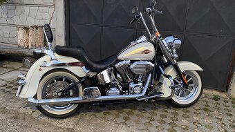 Harley Davidson Softail 110” - 5