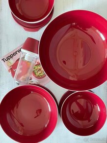 Misky Allegra Tupperware - 5