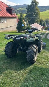 Yamaha Grizzly 700 EPS - 5